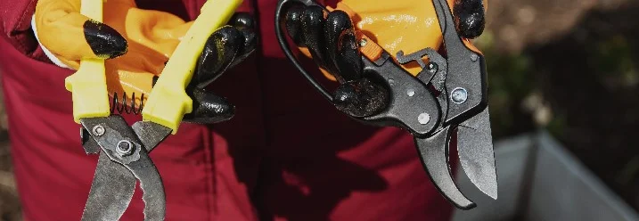 Person hält zwei Gartenscheren